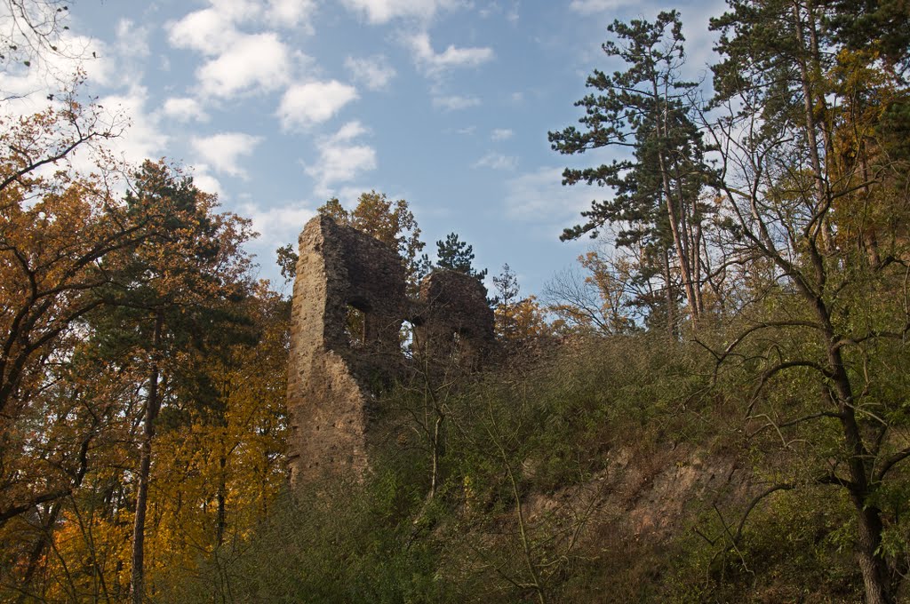 Hrad Žebrák by ked