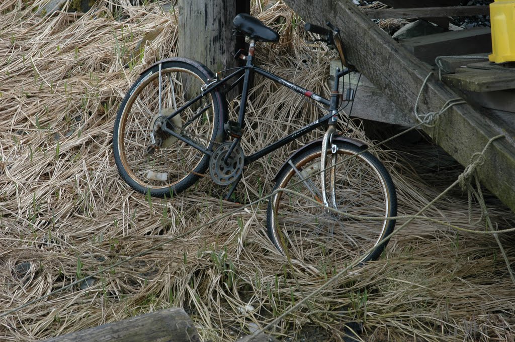 Bicycle looking lost by OZCC