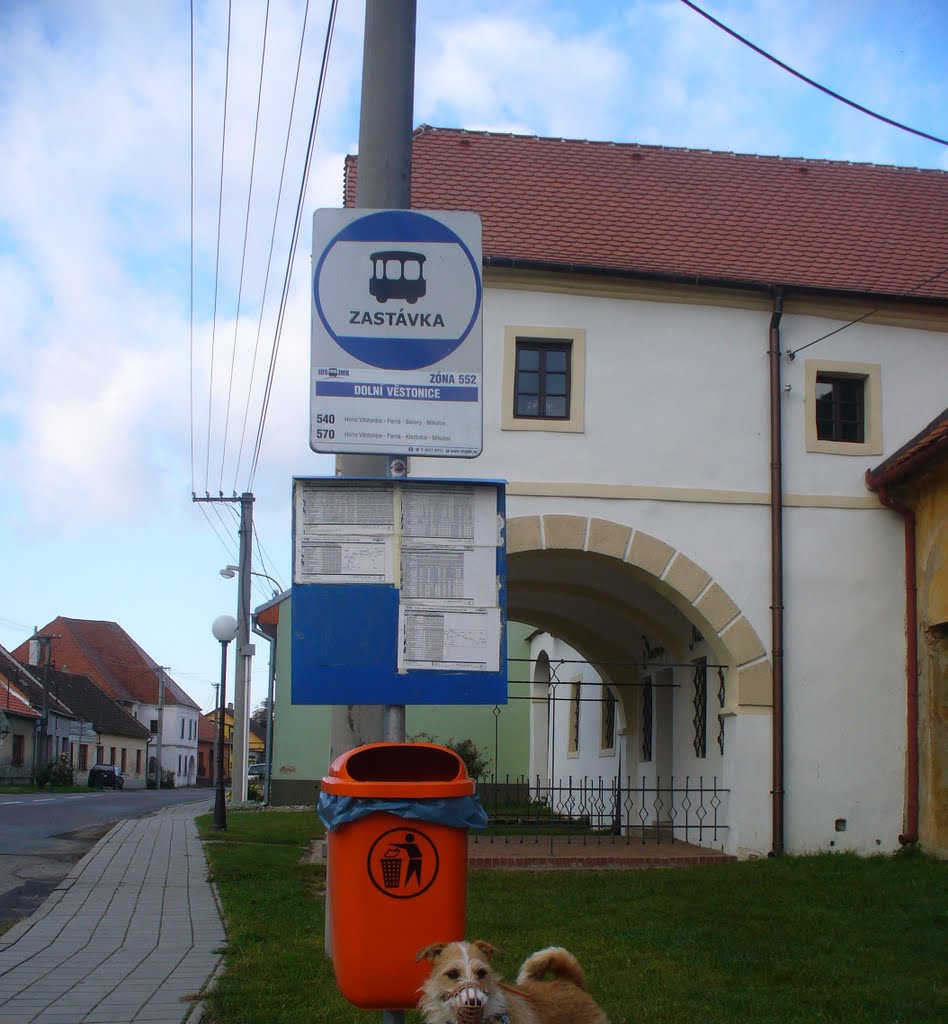 Dolní Věstonice - zastávka - 14.10.2011 by Robin - psí turista