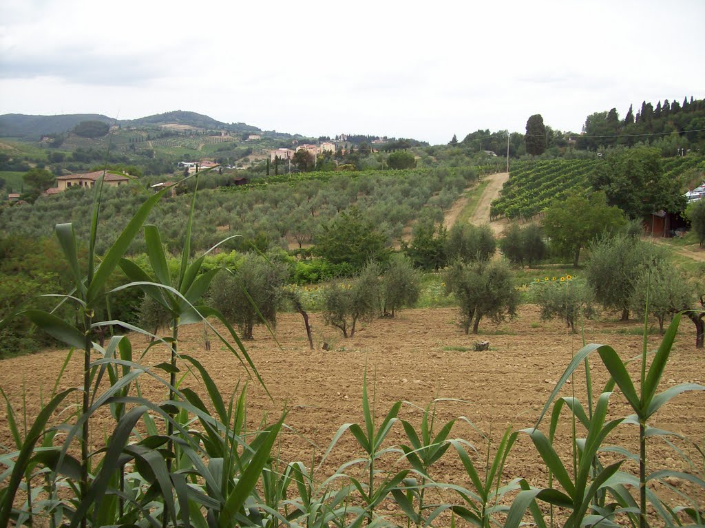 San Gimignano by PhilippGermany96