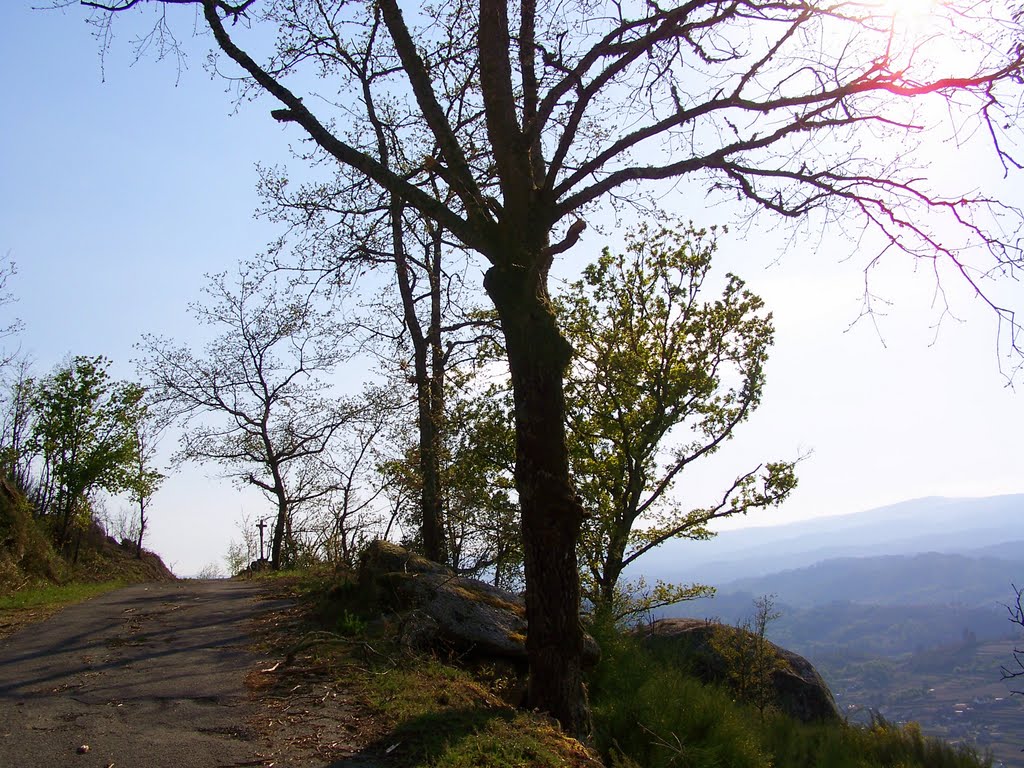 Cenlle, Province of Ourense, Spain by opendello