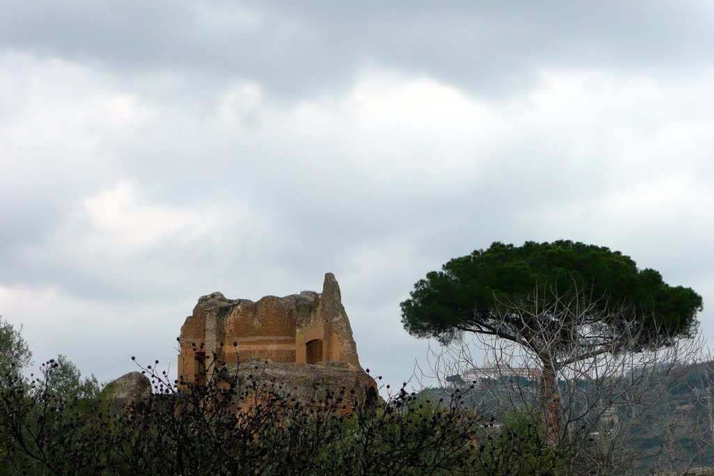 Villa Adriana, Tivoli (Roma) by MDanieli