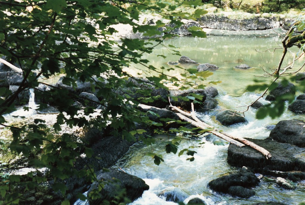 Vers le saut du Doubs by G.Rosette