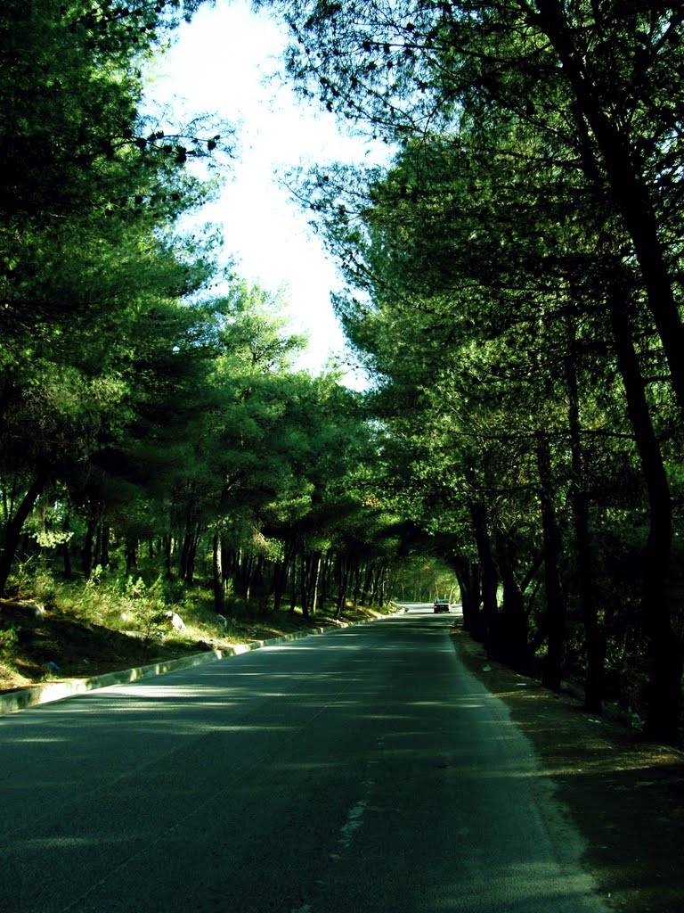 Albania - Durrës: Kruja... by Giorgos Rodinos