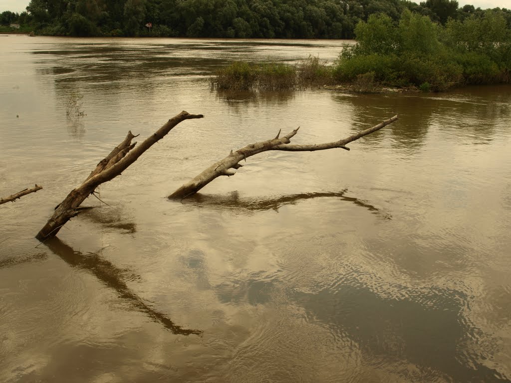 Tisza by József Maszong