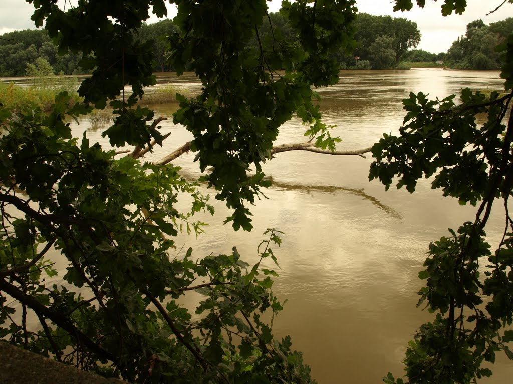 Tisza by József Maszong