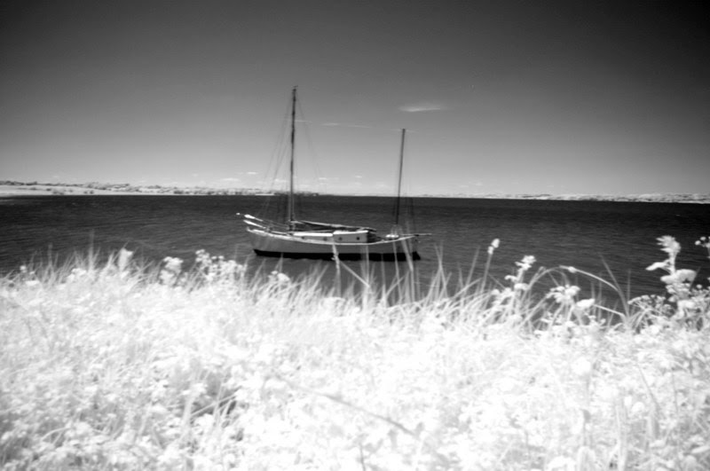 River Stour (IR) by Mike Kanssen