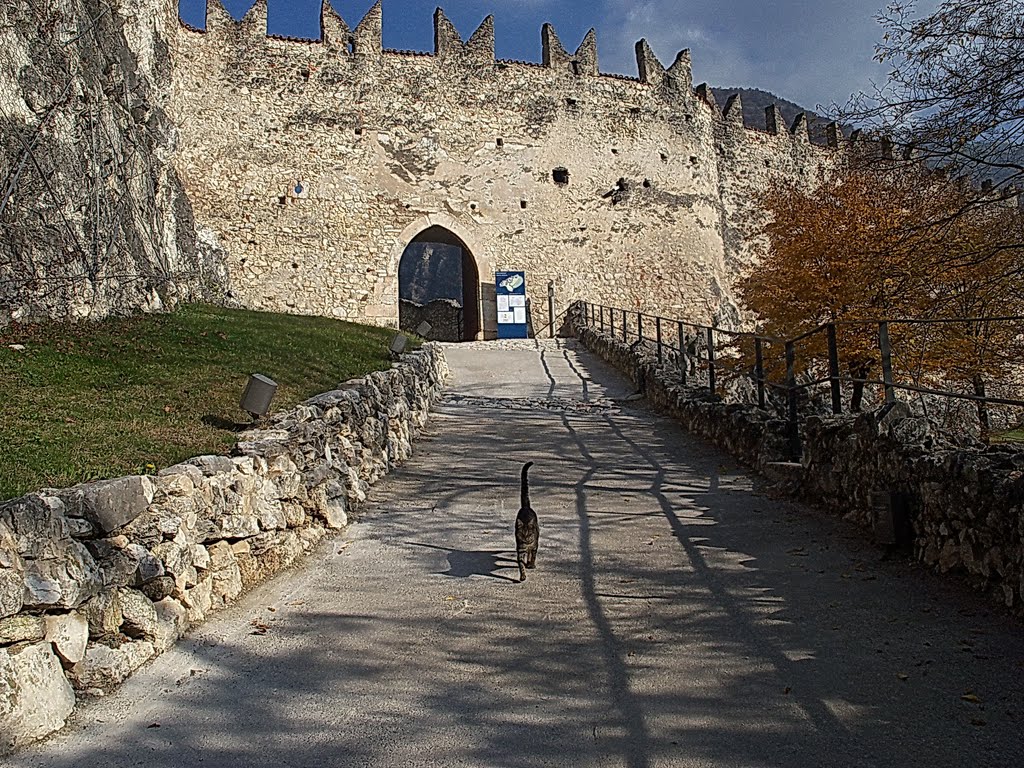 All'entrata del castel Beseno, una "guida" particolare ci attende e ci accompagnerà per tutta la visita. by Elio Dm