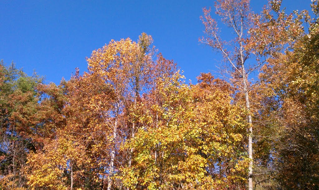 Fall colors at Green Mountain Lake (2011)... by brad.schricker