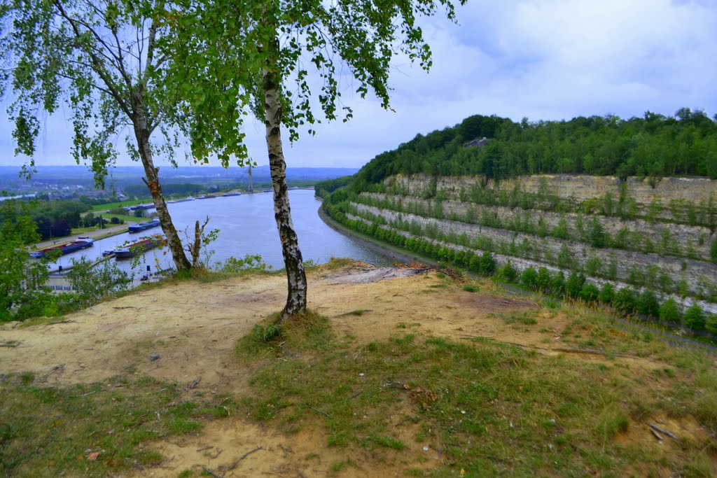 Uphill trees(enlarge please) by Fred Fouarge