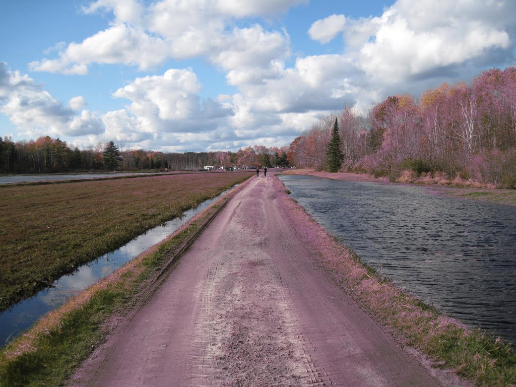 Muskoka Lakes, ON, Canada by emsie