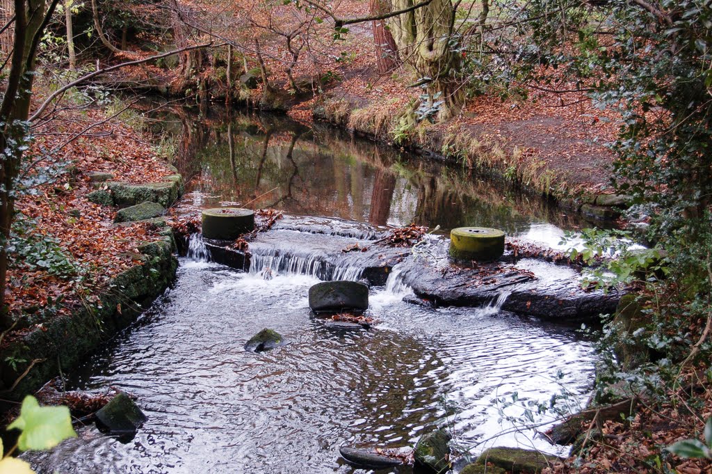 Stepping Stones. by marstafitta