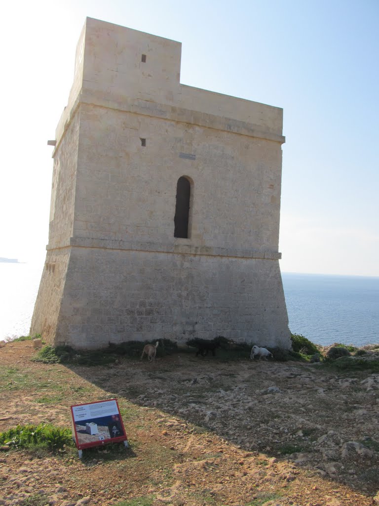 Unnamed Road, Qrendi, Malta by stanleyborg