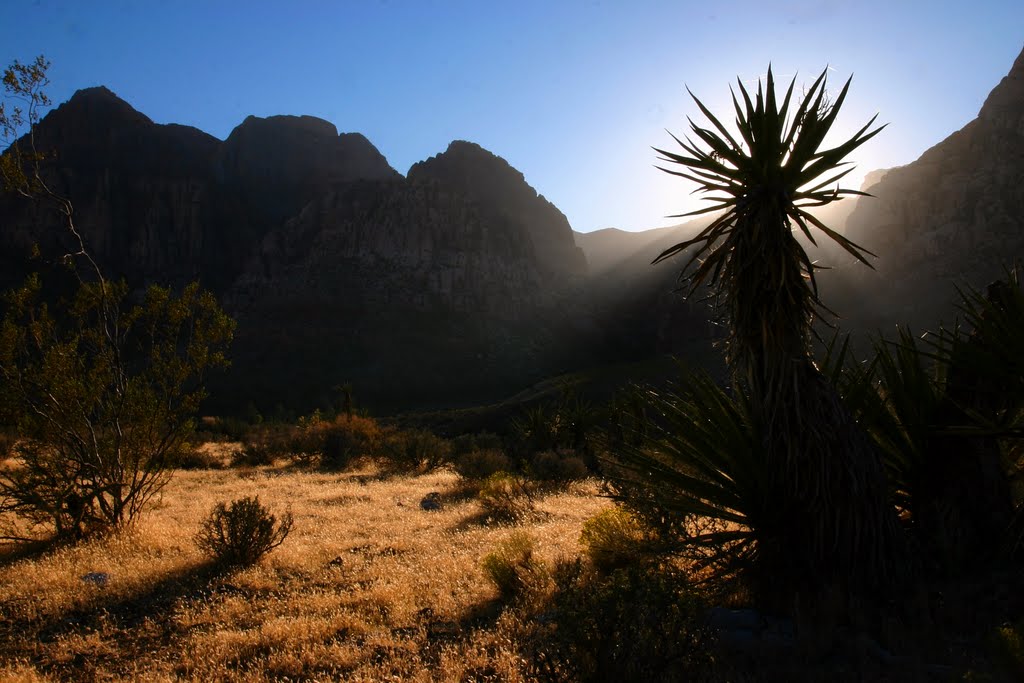 Coucher de soleil - Red Rock Canyon (NV) by UbRegis