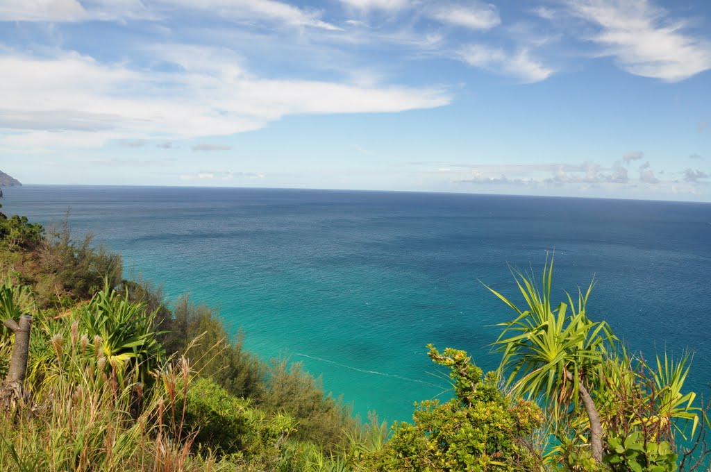 Mamalahoa Forest Reserve, Kalalau Trail by JHomer