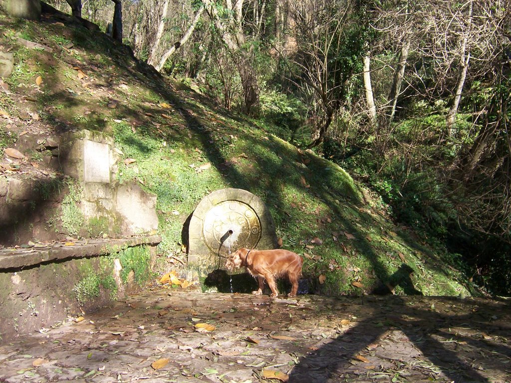 Fuente de Los Pastores by Marcos González