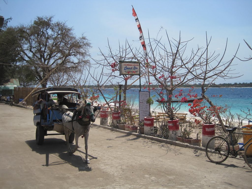 Transport @ Gili T by zondagskindje