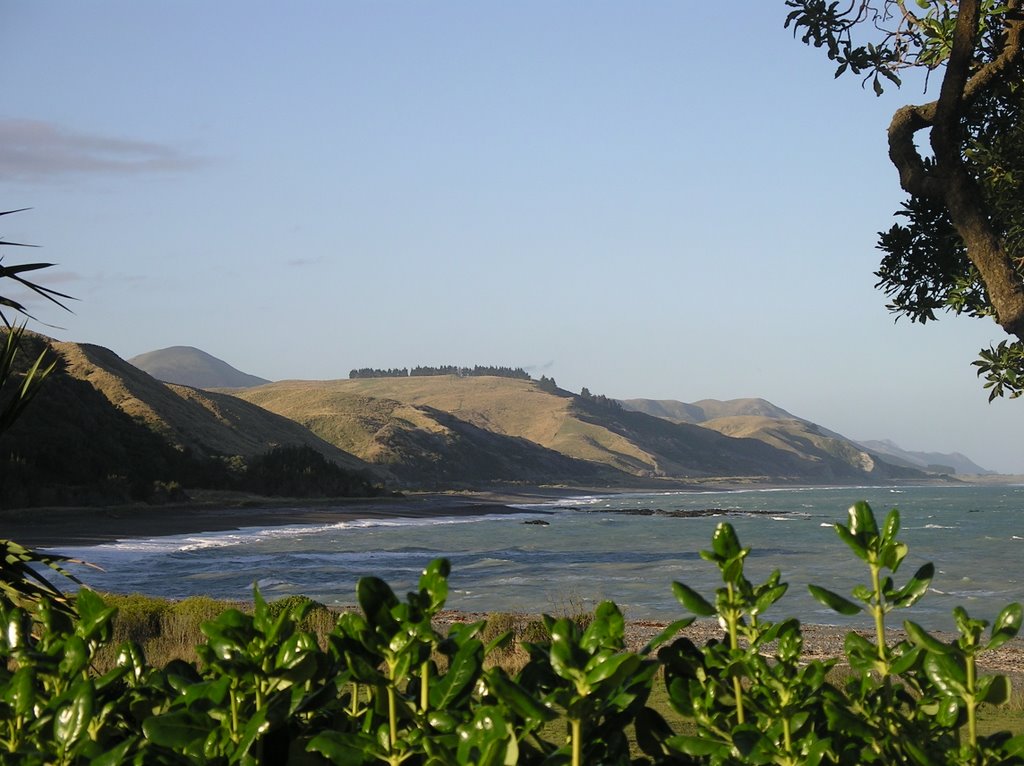 Coast near Kekerengu, view from the gardens of "the store" cafe by MatthiasH