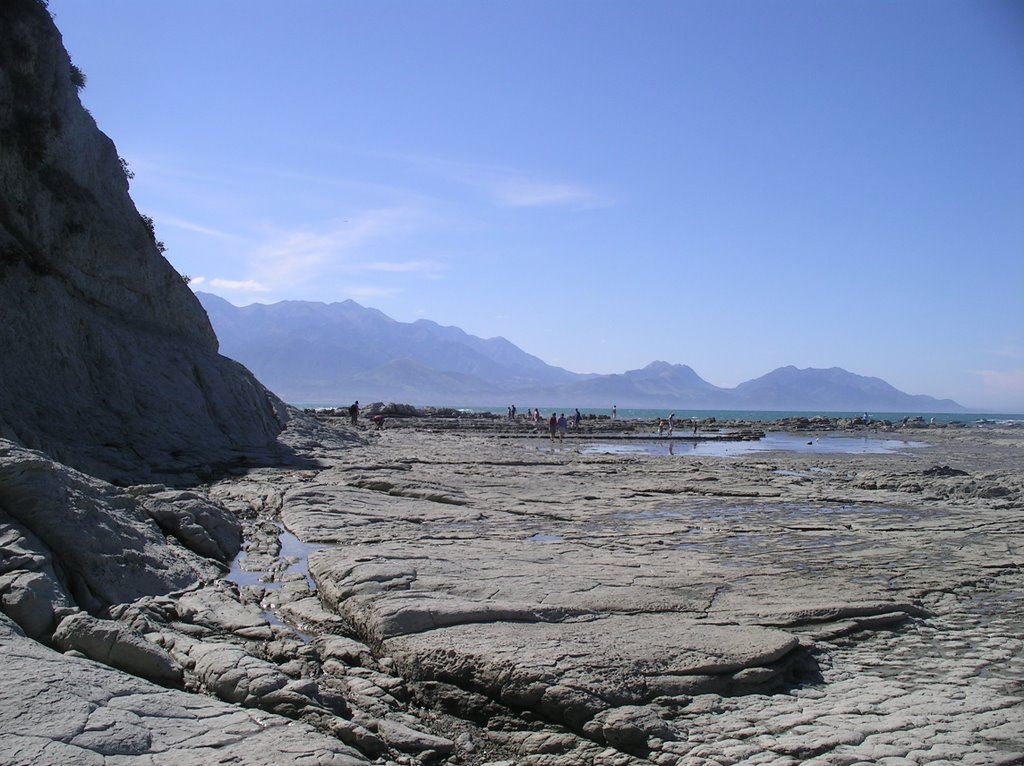 Kaikoura, view from seal colony by MatthiasH