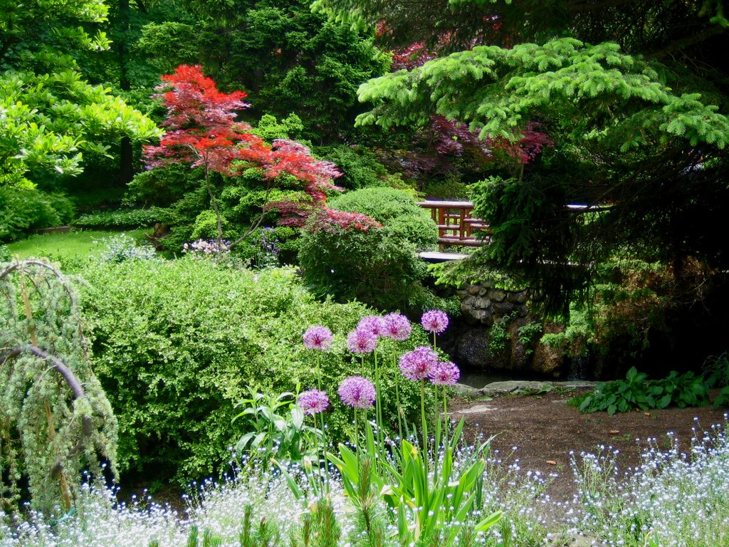 James Gardens- Known For it's>Rare Trees by Nikbrovnik