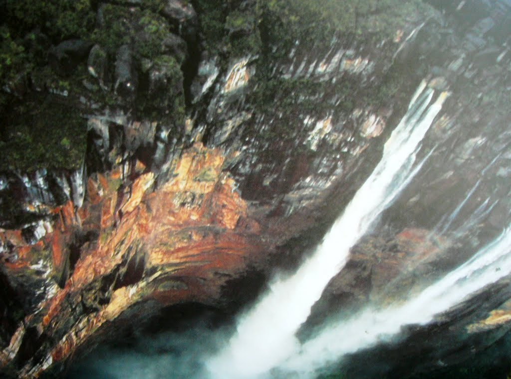 A very dizzying sight of the mysterious "LOST WORLD": The Kerepakupai creek rush down the edge of the Auyan Tepui (Devil's Mountain) and form the Churun Merú or Salto Angel / Angel Falls; at 979 m drop the highest waterfall in the world. by Johaarjoshimanth Ghaurinanda