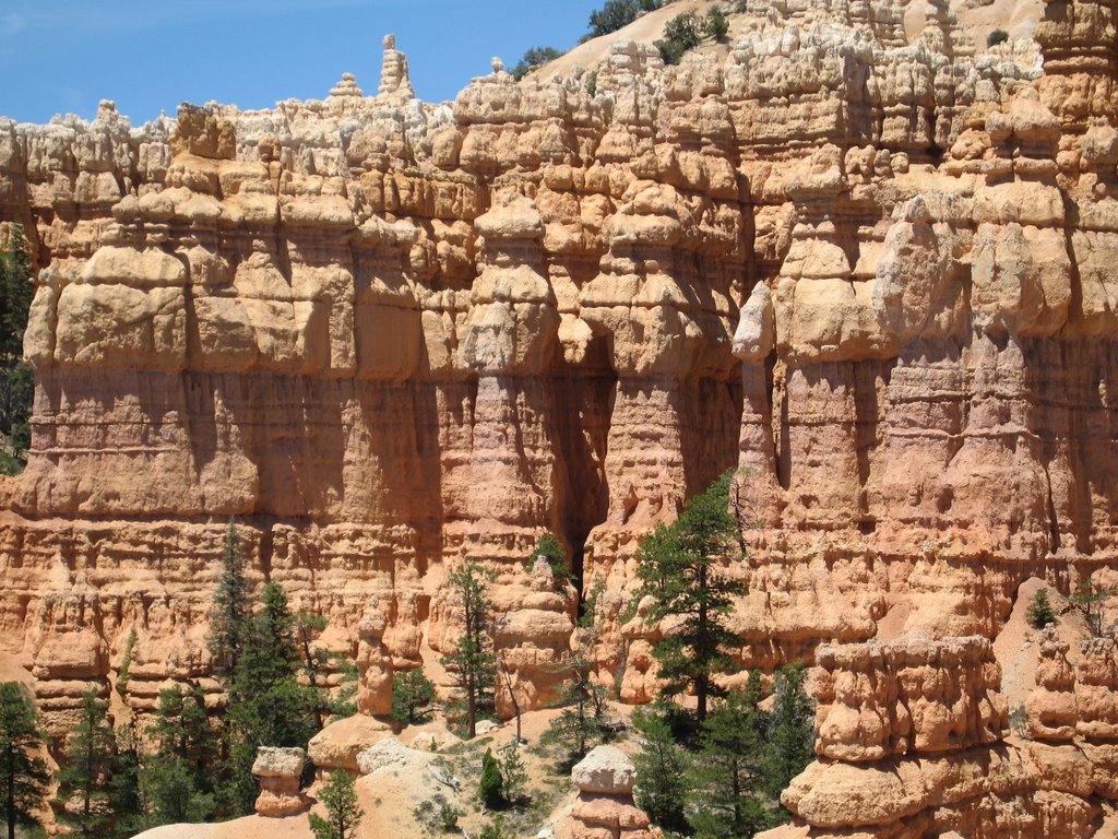 View on Fairyland Loop Hike by John McCall