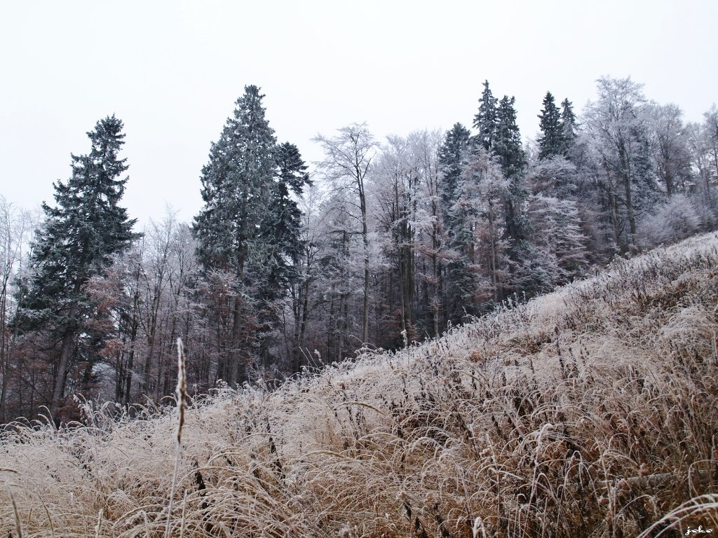 Malá Fatra by < JOKO >