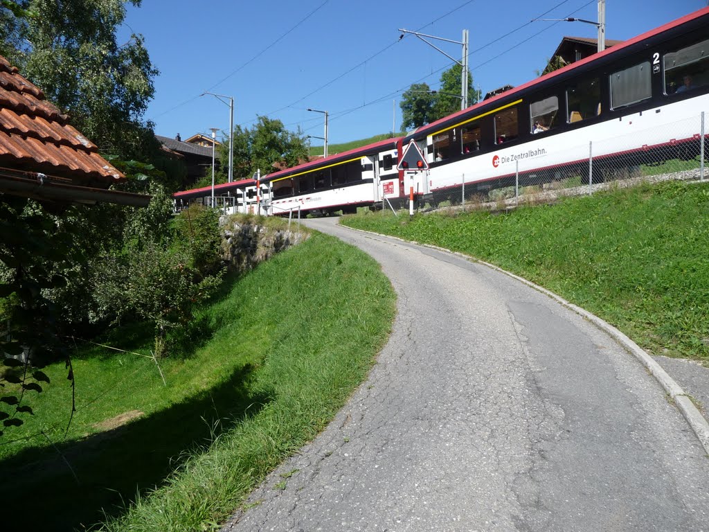 Die Zentralbahn unterwegs Richtung Luzern 3 by Fredy Kim