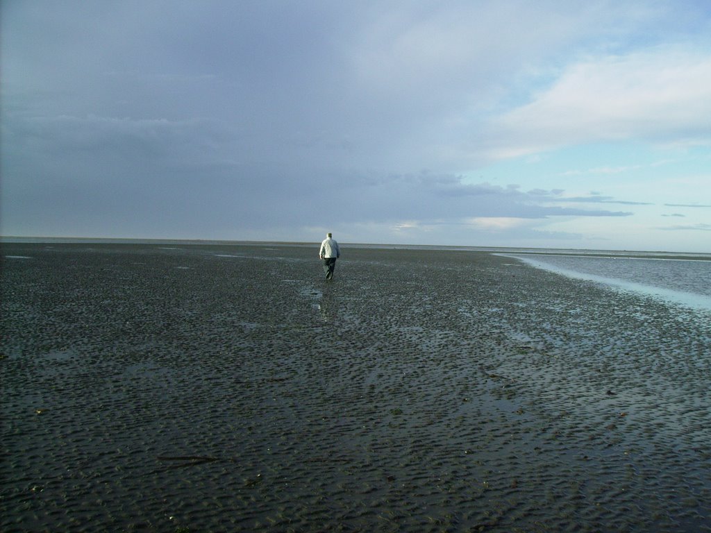 Paseo hacia el horizonte - (Marea baja en Rio Grande - Tierra del Fuego) by ENRIQUE_B