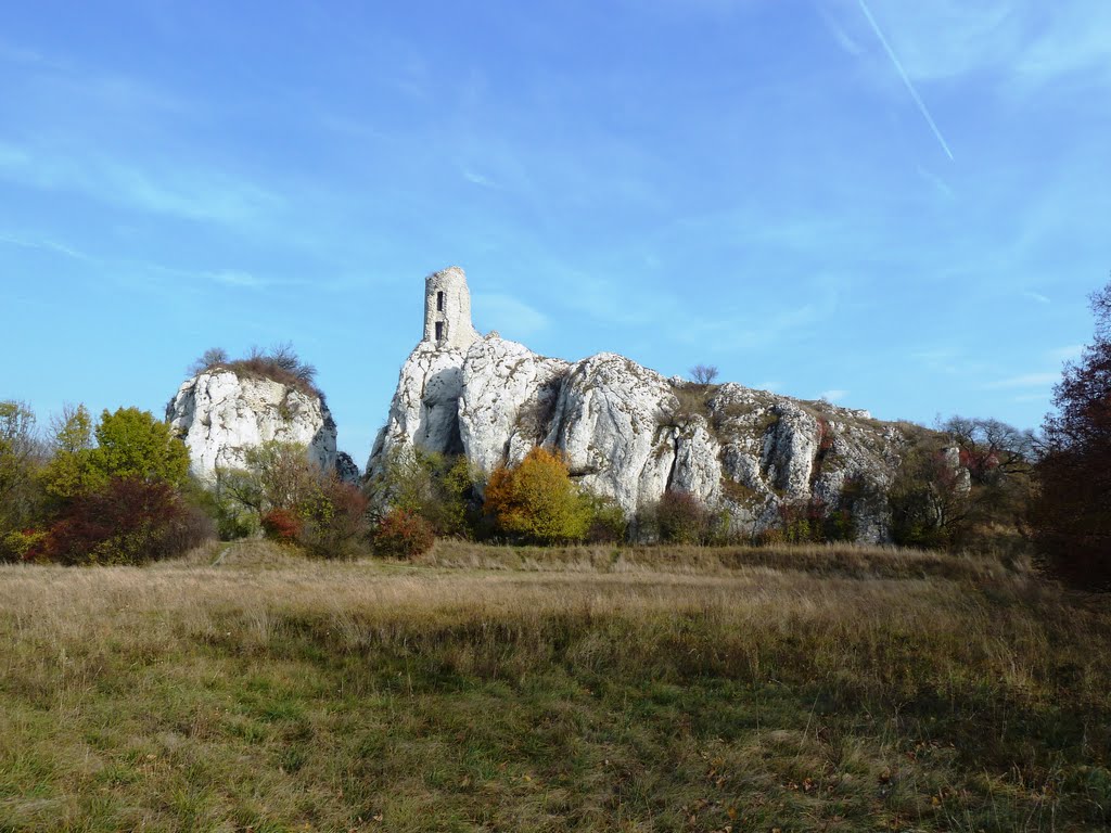 Národní přírodní – Castillo de Dĕvín (Siglo XIII) by fefu85