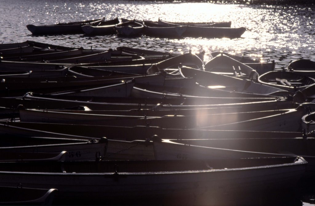 Barques au bois de Boulogne by sylvain bruneaud