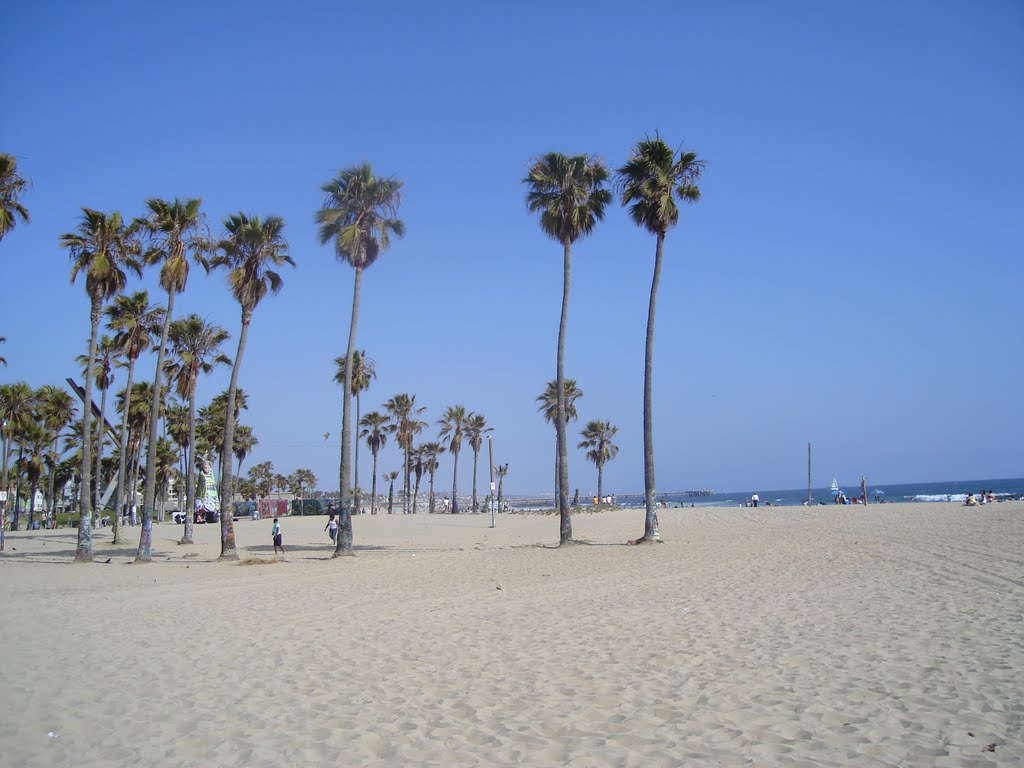 Venice Beach From Santamonica Beach by dabair30