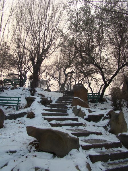 Park in winter by 五代