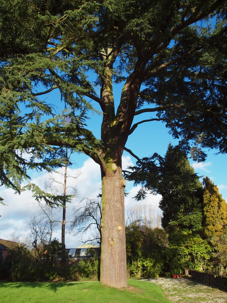 Hey Looked as big then as now. /Riverside /Warrington house by tussi