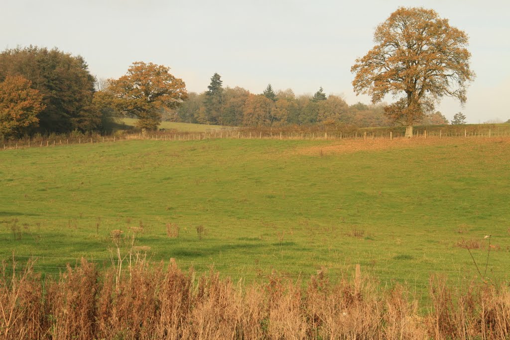 View to Hyde End Wood by SBower