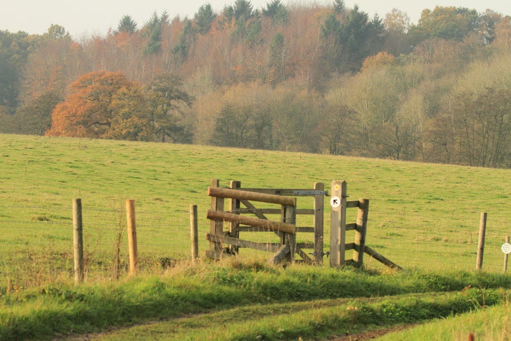 Gate to Flaggy Copse by SBower