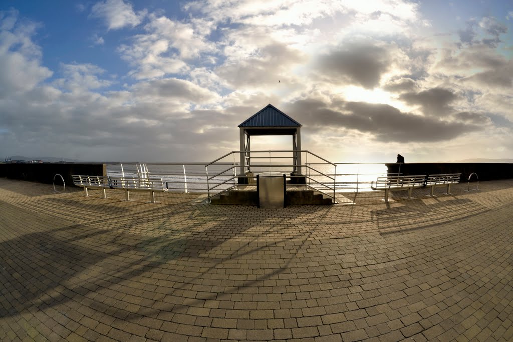 December sunlight - swansea bay by fat-freddies-cat