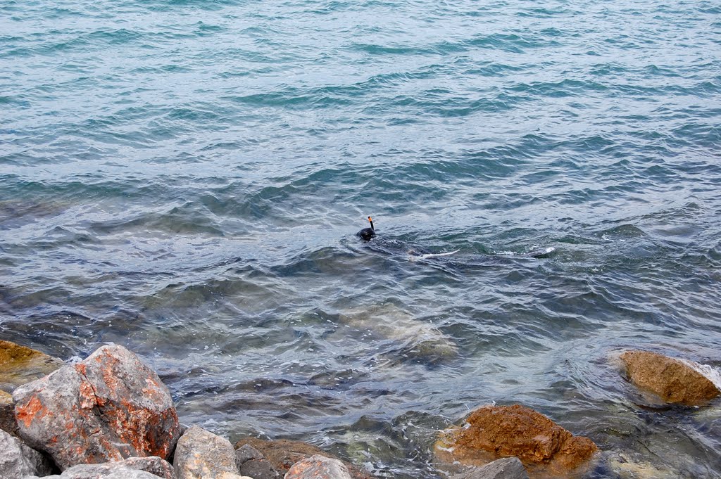 Frankreich_Languedoc-Roussillon_Leucate, La Franqui by Elmokula