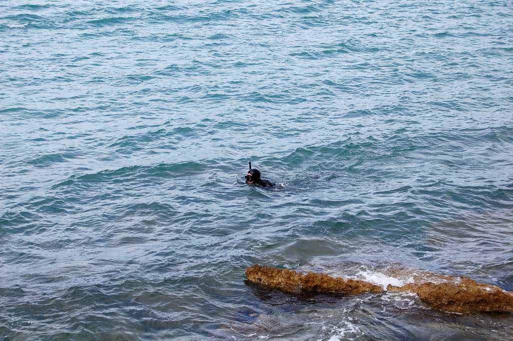 Frankreich_Languedoc-Roussillon_Leucate, La Franqui by Elmokula