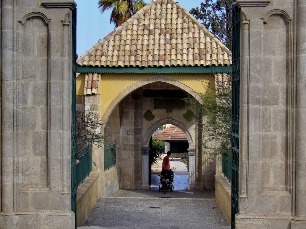 Hala Sultan Teke by Tanya Dedyukhina