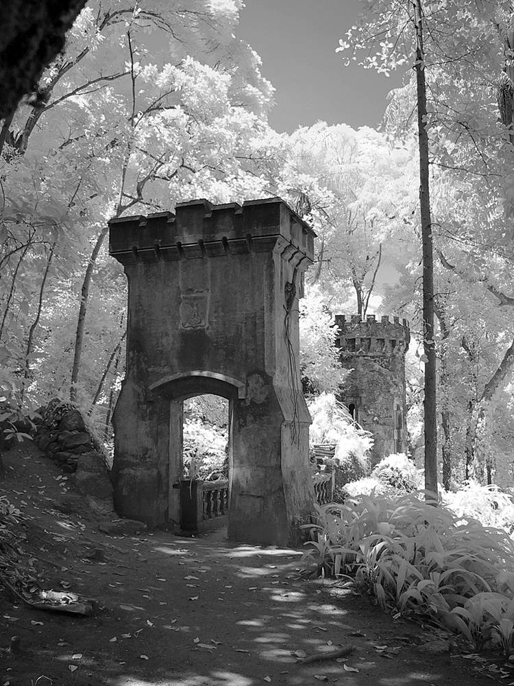 Castelinho in Parque Lage by Frans Harren