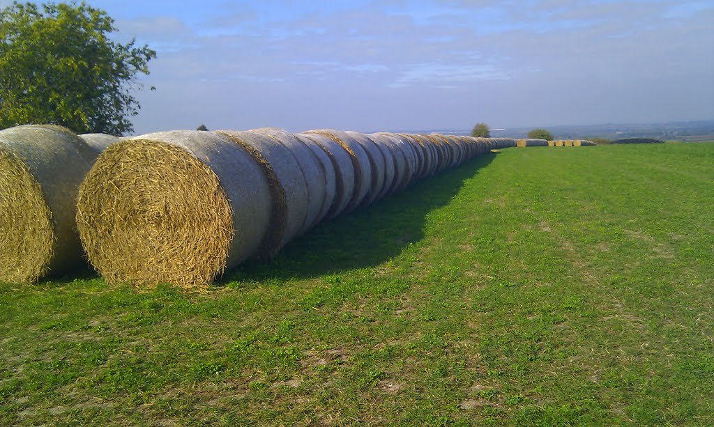 Bales of Wiltshire hay on a sunny autumn day in the cotswolds by Roy Partington