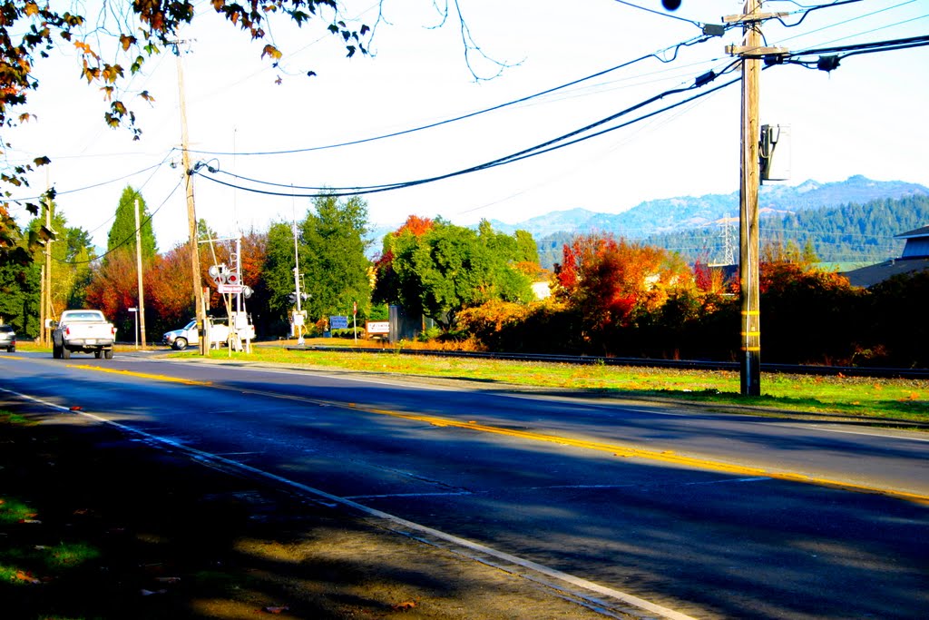 St. Helena Highway, Napa Valley, CA by Michael Jiroch