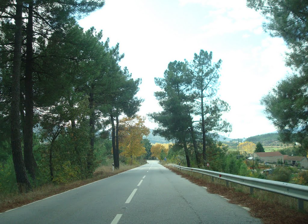 Estrada Nacional 18 (Vela, Guarda, Portugal) by Helder Sequeira