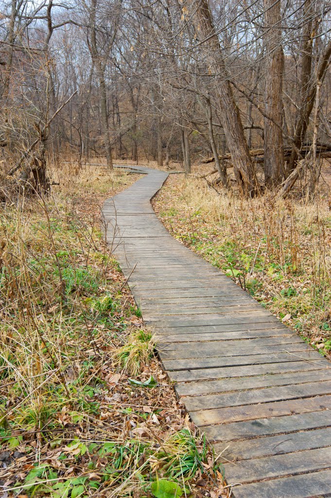 South Floating Trail - Following Indian Creek - Rasmussen Park - Mankato, MN - November 25th, 2011 by mnragnar