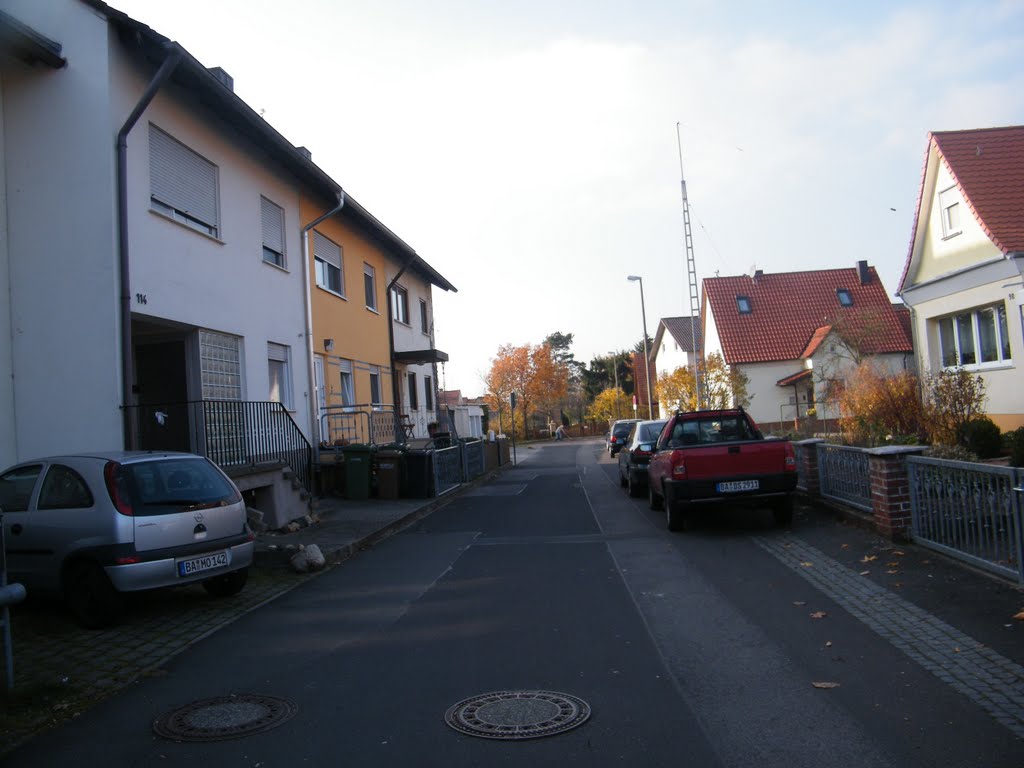 SCHAFHOF 11.11.2011 by (-: