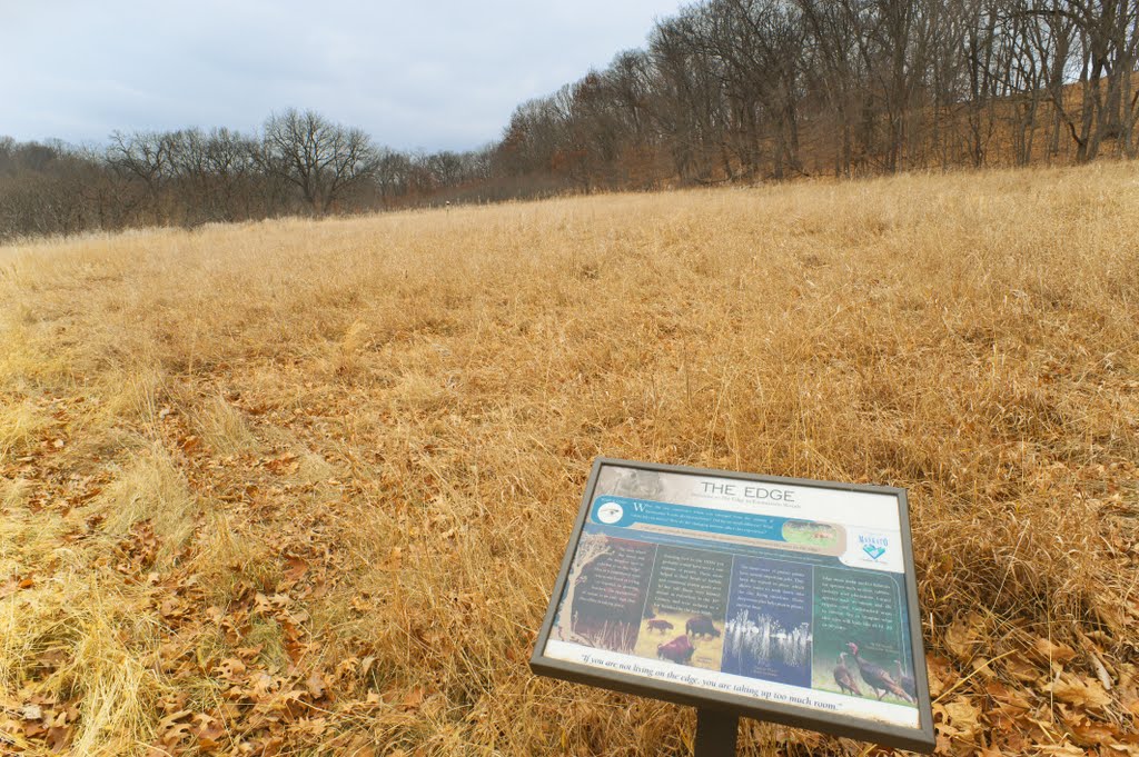 "The Edge" - Meadow Ovelooking Indian Creek - Rasmussen Park - Mankato, MN - November 25th, 2011 by mnragnar