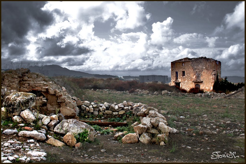 Renàixer de les cendres by Xavier Estorach Tose…