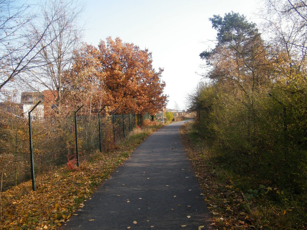 11.11.2011 HALLSTADT by (-: