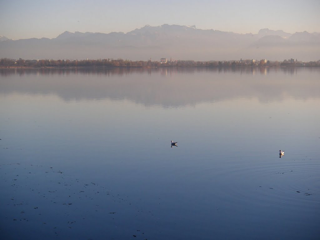 Blick über den Päffikersee nach Wetzikon und in die Glarner Alpen by E***